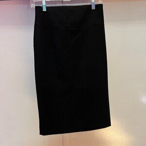Express Pencil Skirt
